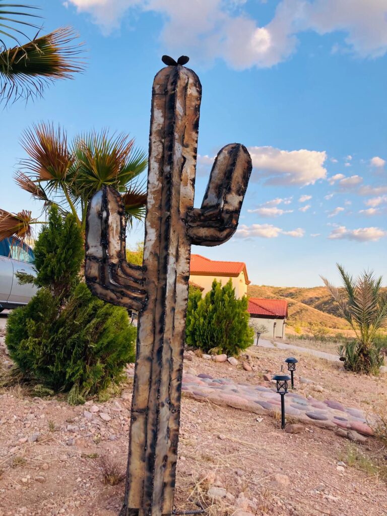 Sahuaros de Herreria